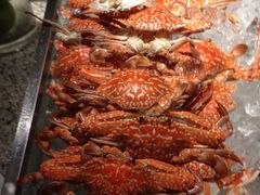 iphone_upload_pic-广州粤海喜来登酒店