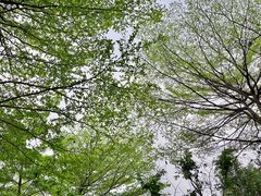 -南宁市凤岭儿童公园