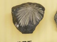 -湖南省地质博物馆