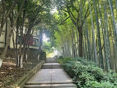 -上海市保健医疗中心