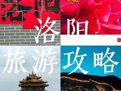 -一记洛阳菜·糖醋小排·水席(十字街店)