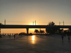 -宝安西湾红树林湿地公园