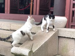 -檀园