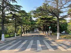 -八大关景区