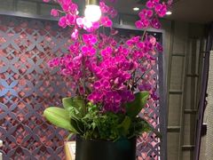 -LANN I 蘭 泰式古法按摩(徐家汇城开YOYO店)