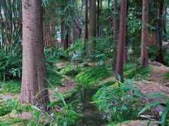-成都市活水公园