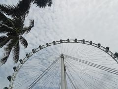-新加坡摩天观景轮