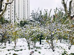 -苏州河梦清园环保主题公园