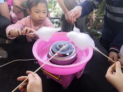 -荔枝红五号农庄