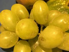 -成都安仁福朋喜来登酒店