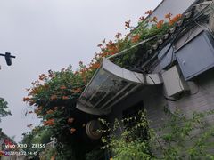 -南锣鼓巷