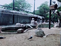 -中山公园