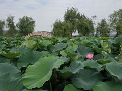 -云龙湖旅游景区