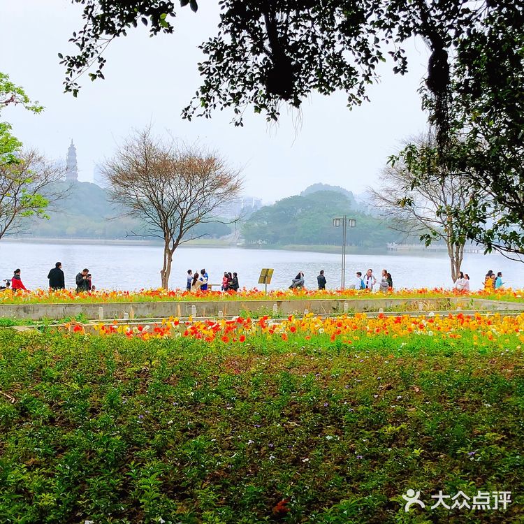 【顺德日记：顺峰山公园旅游攻略】