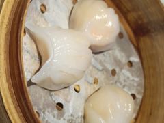 -纽斯特牛排自助餐厅(浦东文峰广场店)