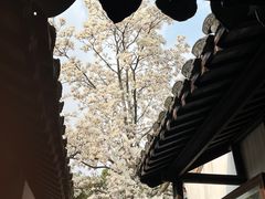 -常熟方塔园