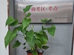 -子曰书院·古筝围棋书法国画小主持(夏都店)