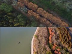 -泗洪洪泽湖湿地景区