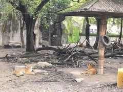 -上海动物园(地铁站)