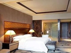 -西安赛瑞喜来登大酒店