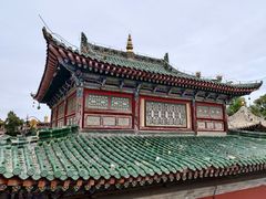 -塔尔寺-菩提树