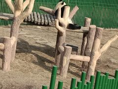 -沈阳森林动物园