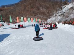 景点-天女山森林公园