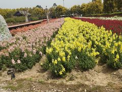 -广东花都香草世界旅游度假区