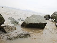 -深圳湾公园(南山区)