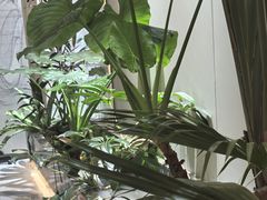 -双湖宴·湖北菜(文化路店)