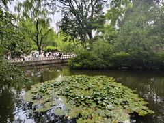 -环城公园