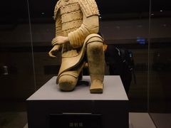 -秦始皇帝陵博物院(兵马俑)