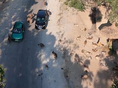 -广州长隆野生动物世界