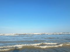 -日照海滨国家森林公园