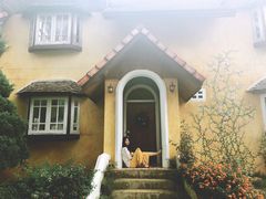 -黄色小屋