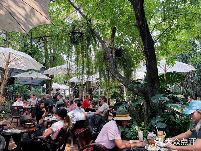 Fern Forest Cafe图片