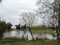 -两河城市森林公园