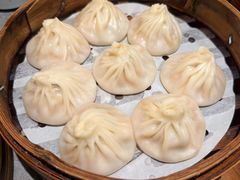 -莱莱小笼·乔艾