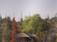 -同里国家湿地公园