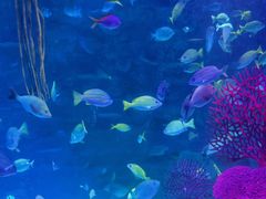 -沈阳海洋探索中心