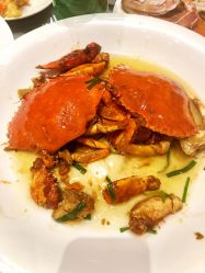 -上海雅居乐万豪侯爵酒店·宴会厅