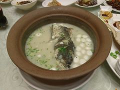 天目湖鱼头-海江5号