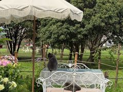 -洛阳市隋唐城遗址植物园