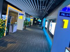 -奥斯卡升龙国际影城(RealD Cinema)