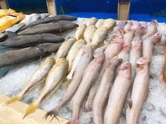 -阳光海鲜城(太仓万达店)