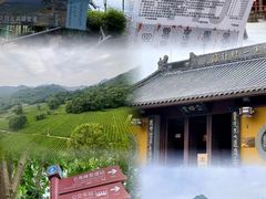 -灵顺寺