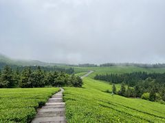 -东钱湖旅游度假区