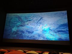 -星河寰宇IMAX影城(星河WORLD·COCO Park店)