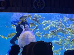 -左海海底世界
