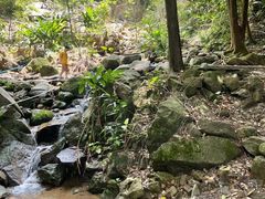 -火炉山森林公园